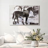 B&W Horse Abstract II - High Resolution Giclee Printed Canvas Framed in Contemporary Clear Acrylic Frame